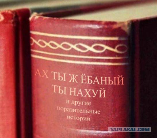 Про женскую натуру и человеческий идиотизм