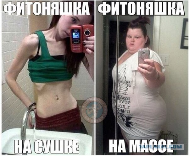 Сколько фитоняшки зарабатывают на Инстаграме?