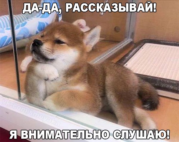 Прикольные животные