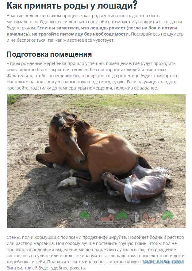 Беременная Собчак послала всех на х##