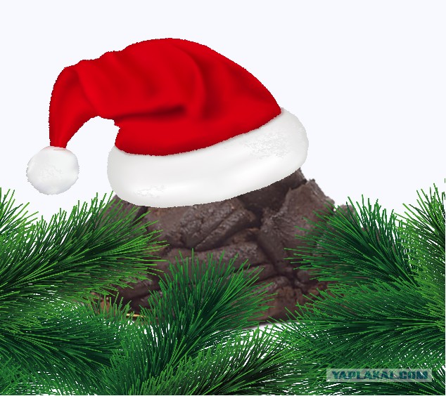 Яповцы, оновогоживайтесь!