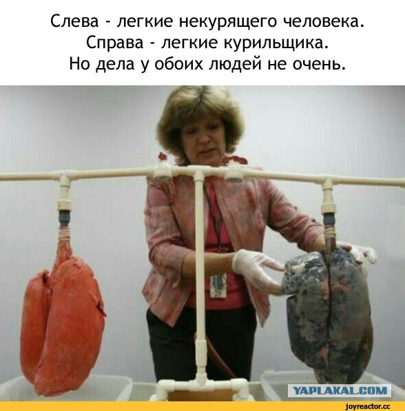 Курильщикам посвящается