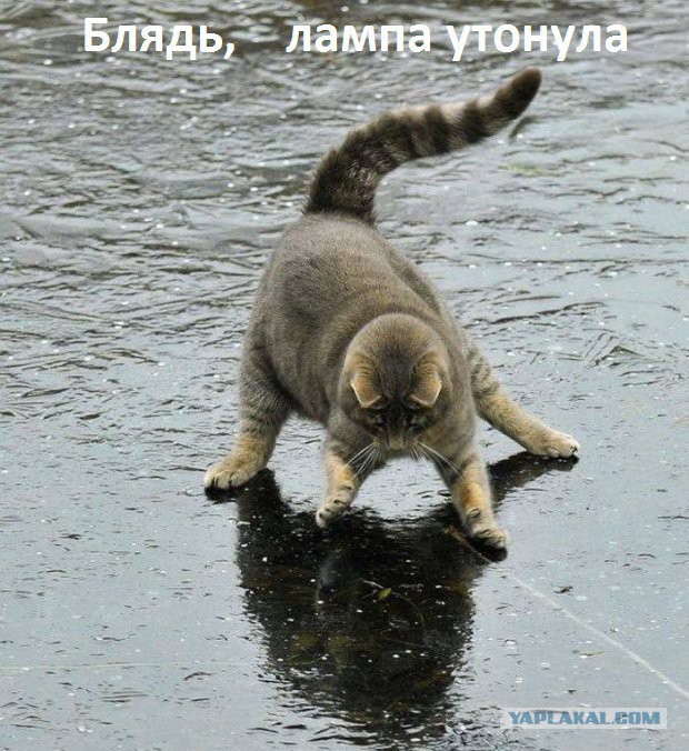 "Ссаным мешком по роже"