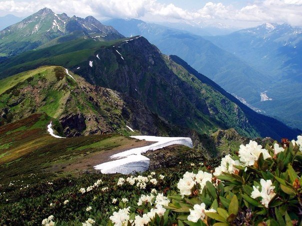 Моменты, запечатлённые на фото и просто позитив 5