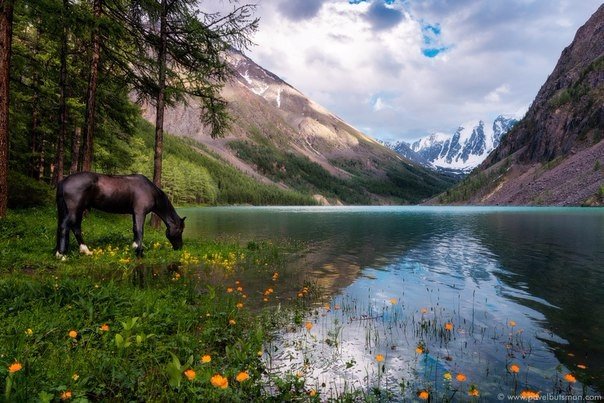 Моменты, запечатлённые на фото и просто позитив 5