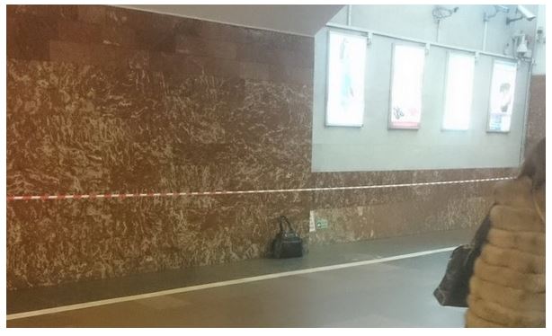 Вторую бомбу в петербургском метро обезвредили с помощью саперной кошки