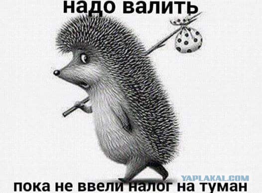 Путин подписал закон о запрете анонимайзеров