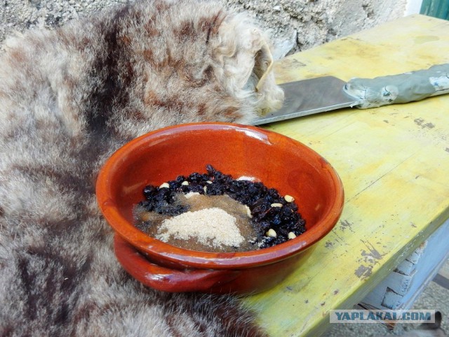 Средневековое застолье (Дню Повара посвящается!)