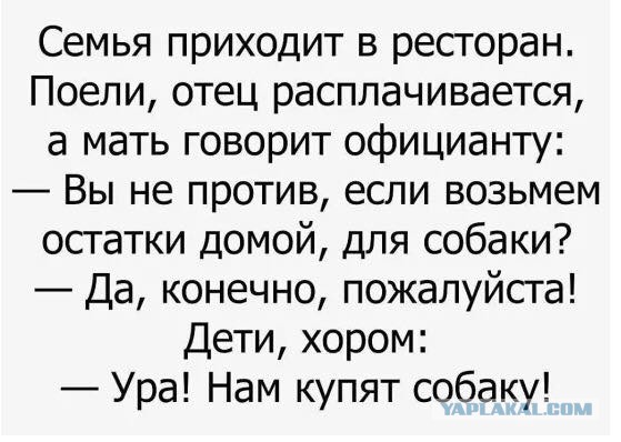 Смешные фекалии канализационных сетей 15.11.2017