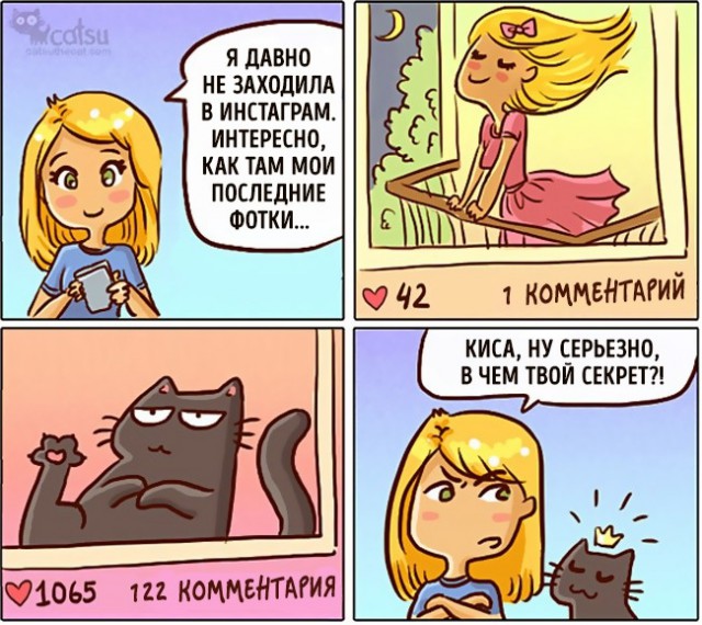 Жизнь домашнего приюта для котеек 195
