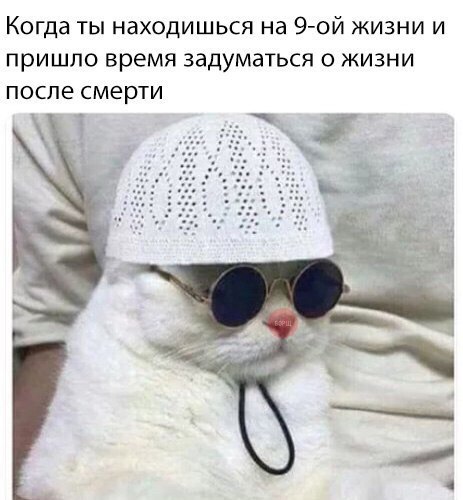 Прикольные картинки обо всём