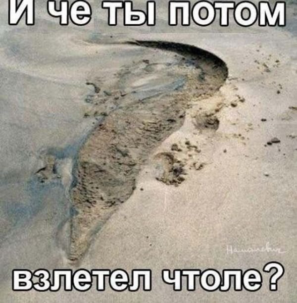 Нестандартный юмор