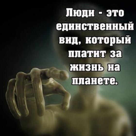 Прикольные картинки.