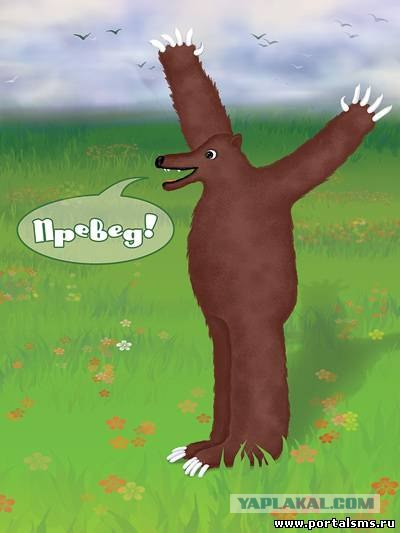 Как правильно и безопасно сфотать медведя?