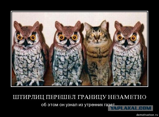 Искусство сливаться с толпой