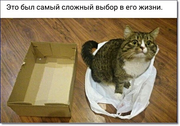 Анекдоты, соц-сети и картинки с надписями