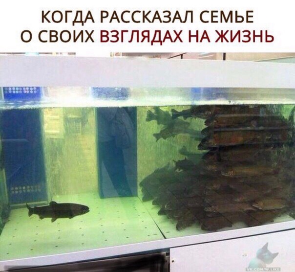 Бредзона 10.11.19