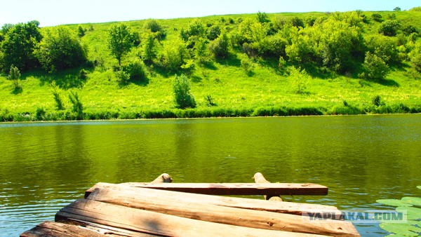 Каникулы в деревне