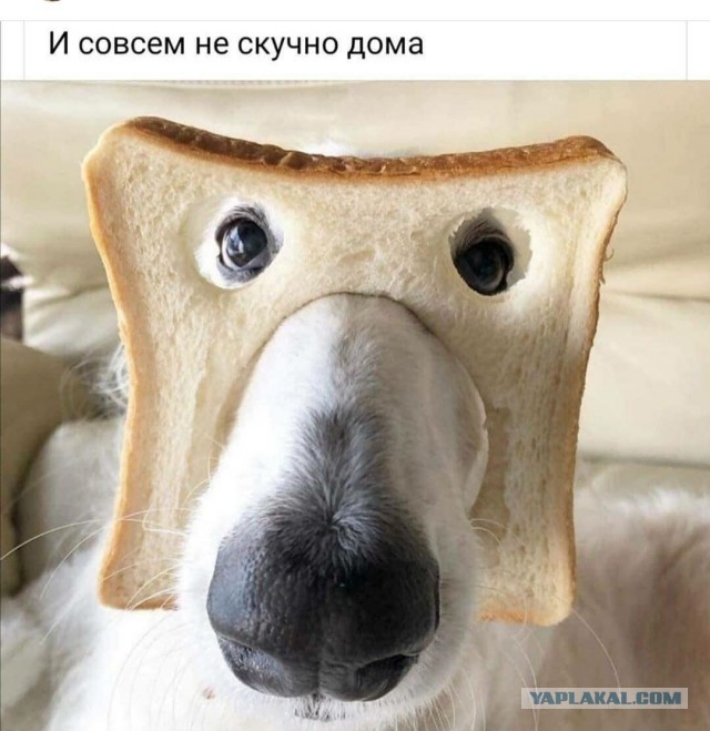 Советское отношение к продуктам, которое сейчас высмеивают недалекие люди