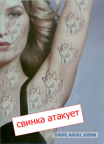 Фотожаба: О чем молчат антиперспиранты