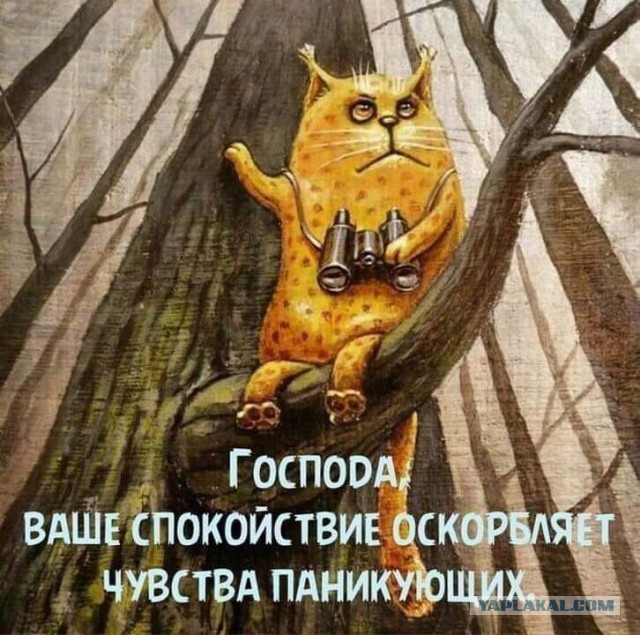 Истинная пандемия (+18)