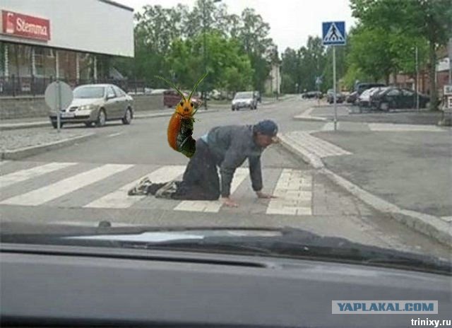 Он как бы нам машет?
