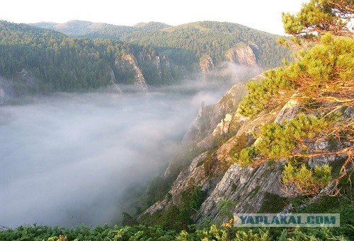 Где-то на Урале лес заменяет людям небо