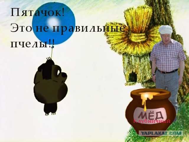 Как Жириновский на клубнике был