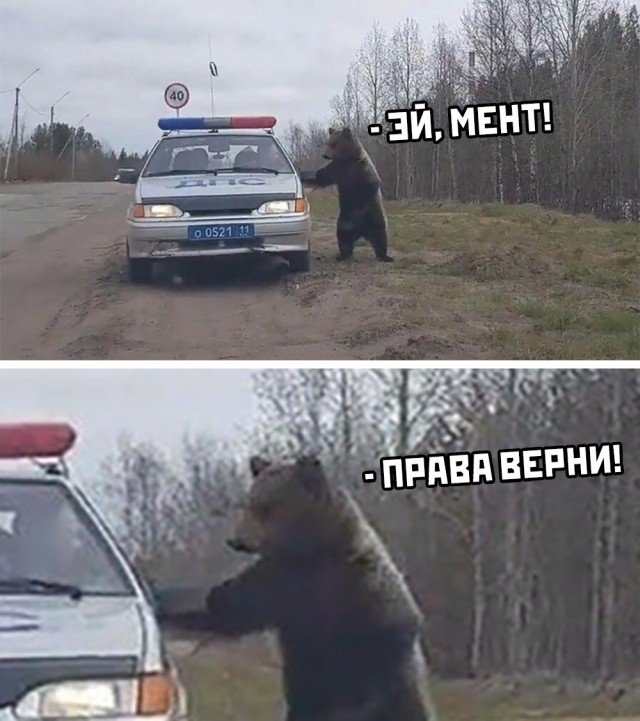 Баянисто-небаянистый юмор. 5.11.20.