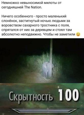 Картинки с надписями и всякие жизненные фразы