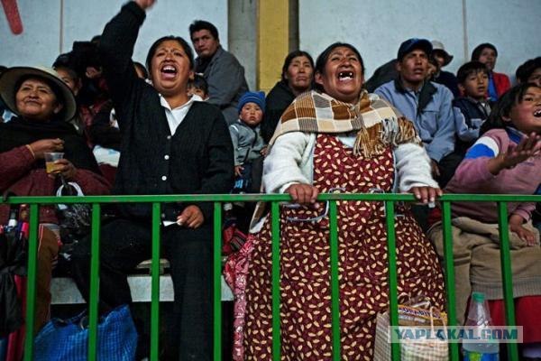Женский рестлинг в Боливии. Жестокий и беспощадный