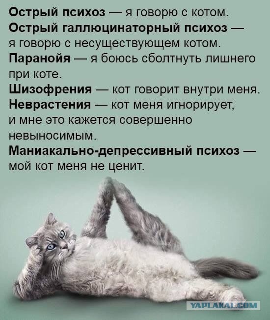 Слегка об этом
