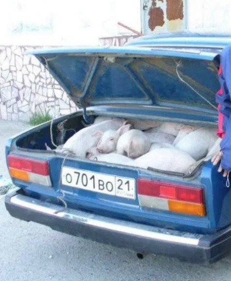 С наступающим