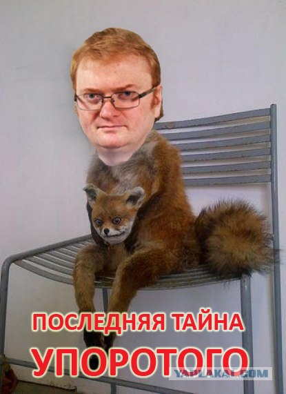 Таксидермия + наркомания