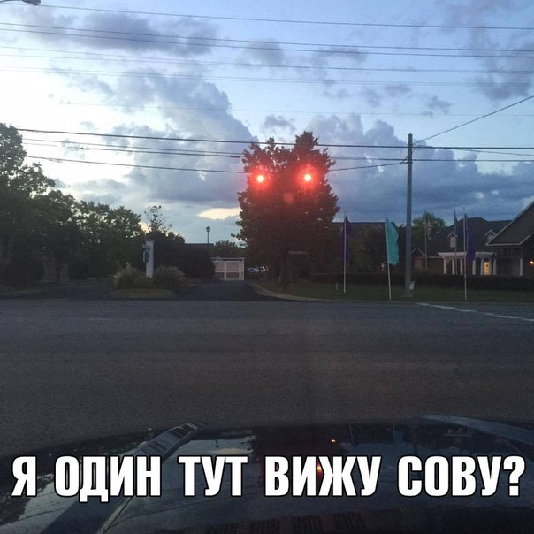 Кретинизмы из KO и KV 30.01.21