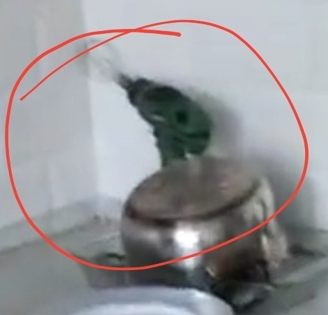 Достать кота