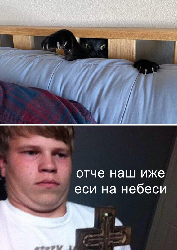 Весёлый полтишок 12.03