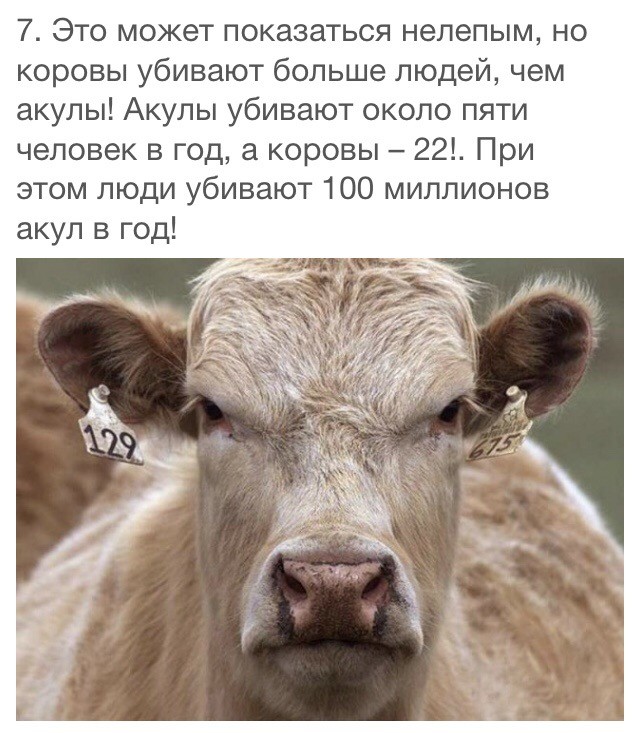 60 удивительных фактов о природе