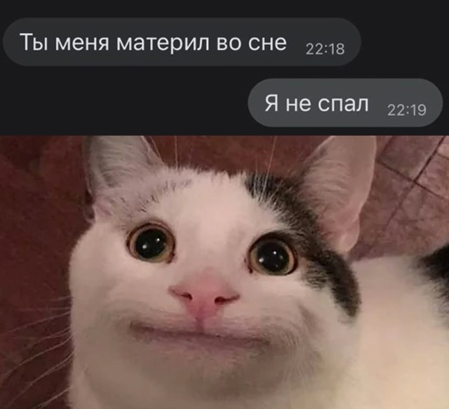 Баянисто-небаянистый юмор 4.11.21