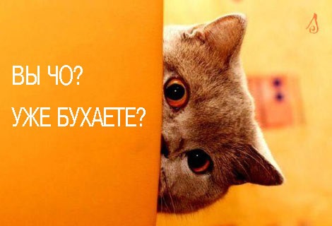 Алкопост 5.11.21
