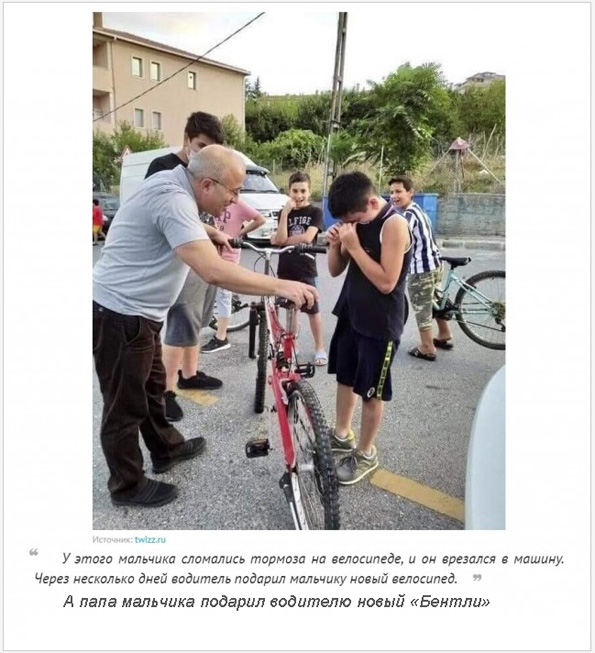 Всяческие картинки 03.12.2021