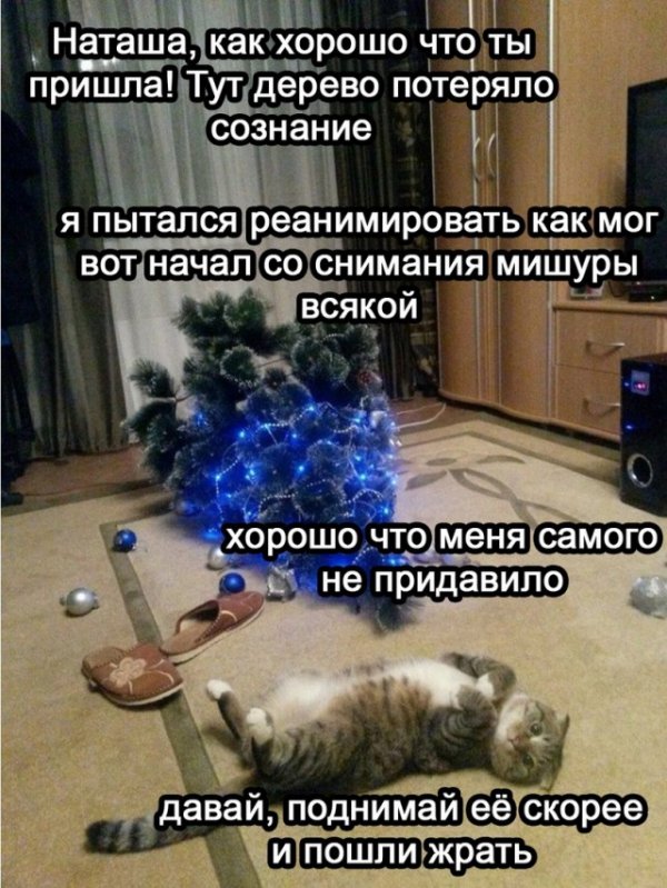Прикольные и просто красивые картинки 31.01.2022