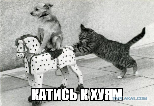 5ая колонна ЯПа