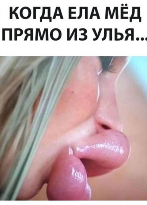 Картинки для тех, кто похмелился