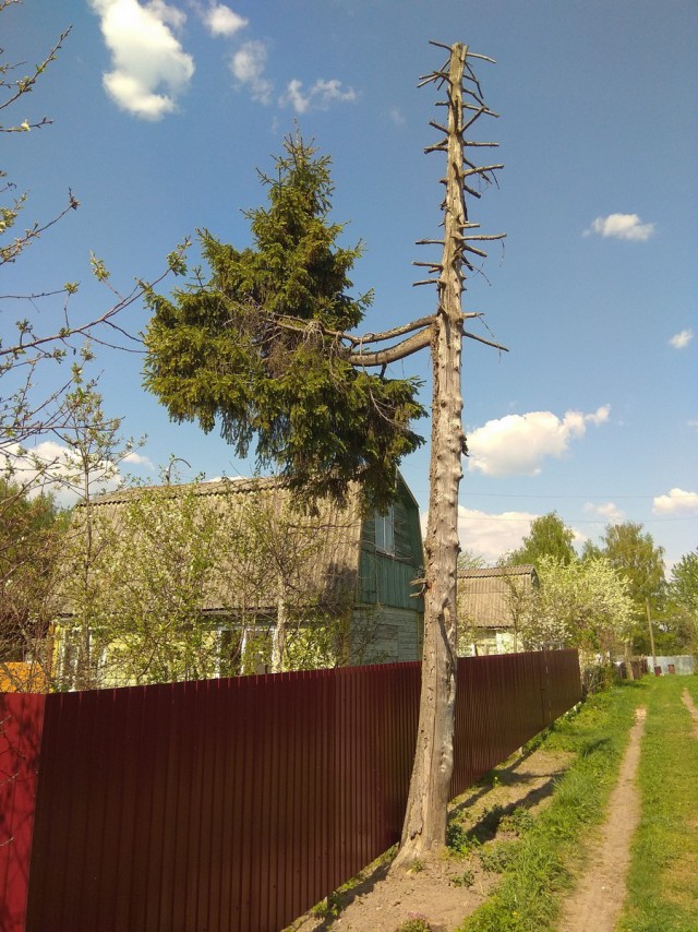 Картинки и мемы, всем отличных выходных