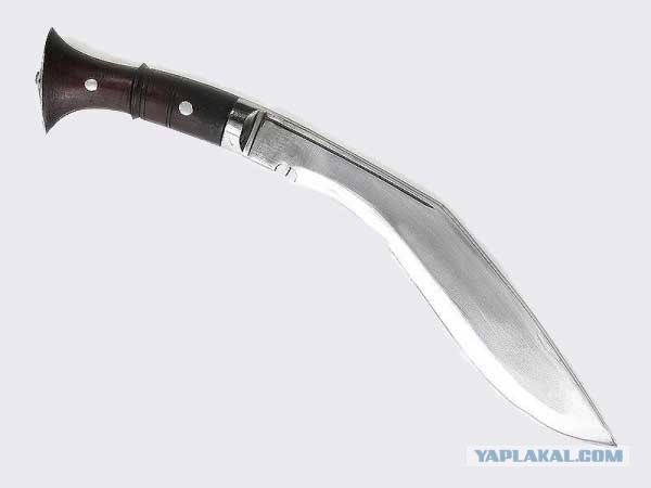 Погулять, грибы-лисички