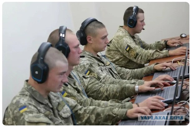 Бардак и беспредел в Елани.