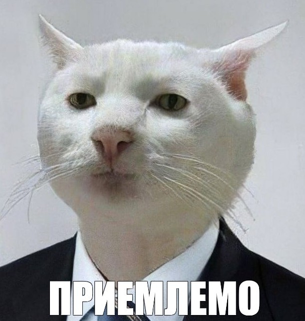 Когда уже запретят "домашних компьютерных мастеров" пидор***в?