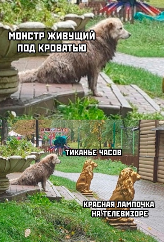 Немного картинок для настроения - 117