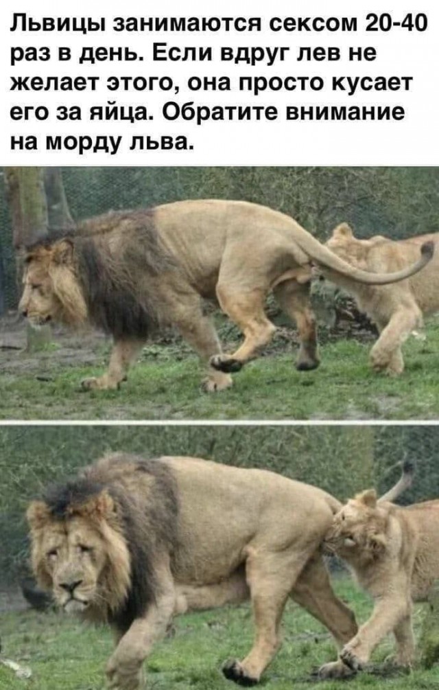 Картинки аморальные и всякие разные - 47